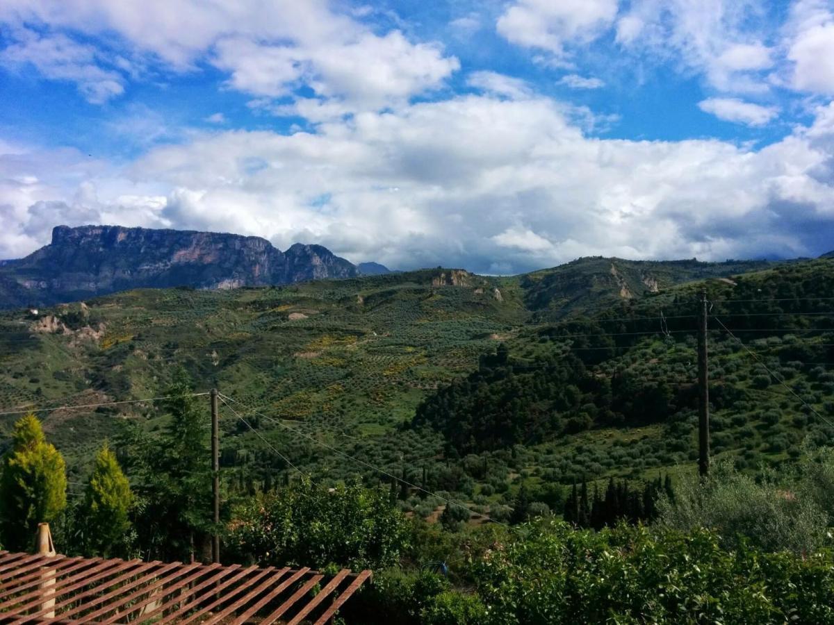 Ampelos Estate 阿克拉塔 外观 照片