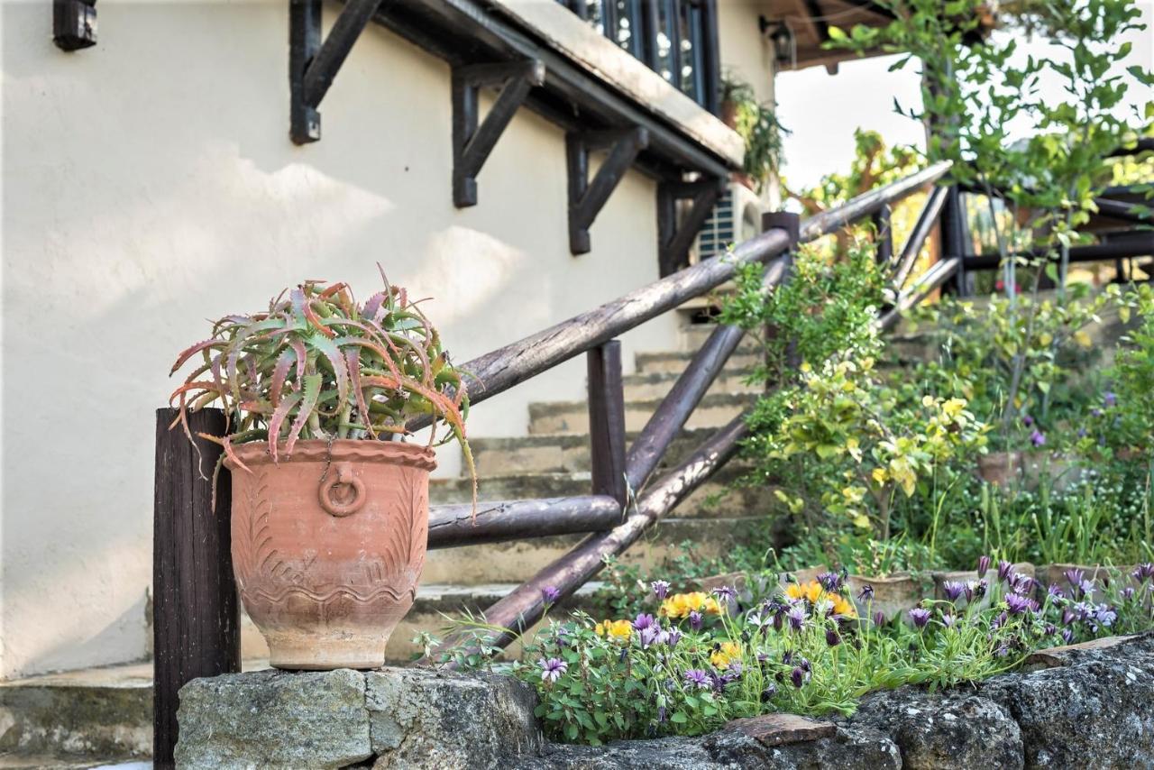 Ampelos Estate 阿克拉塔 外观 照片